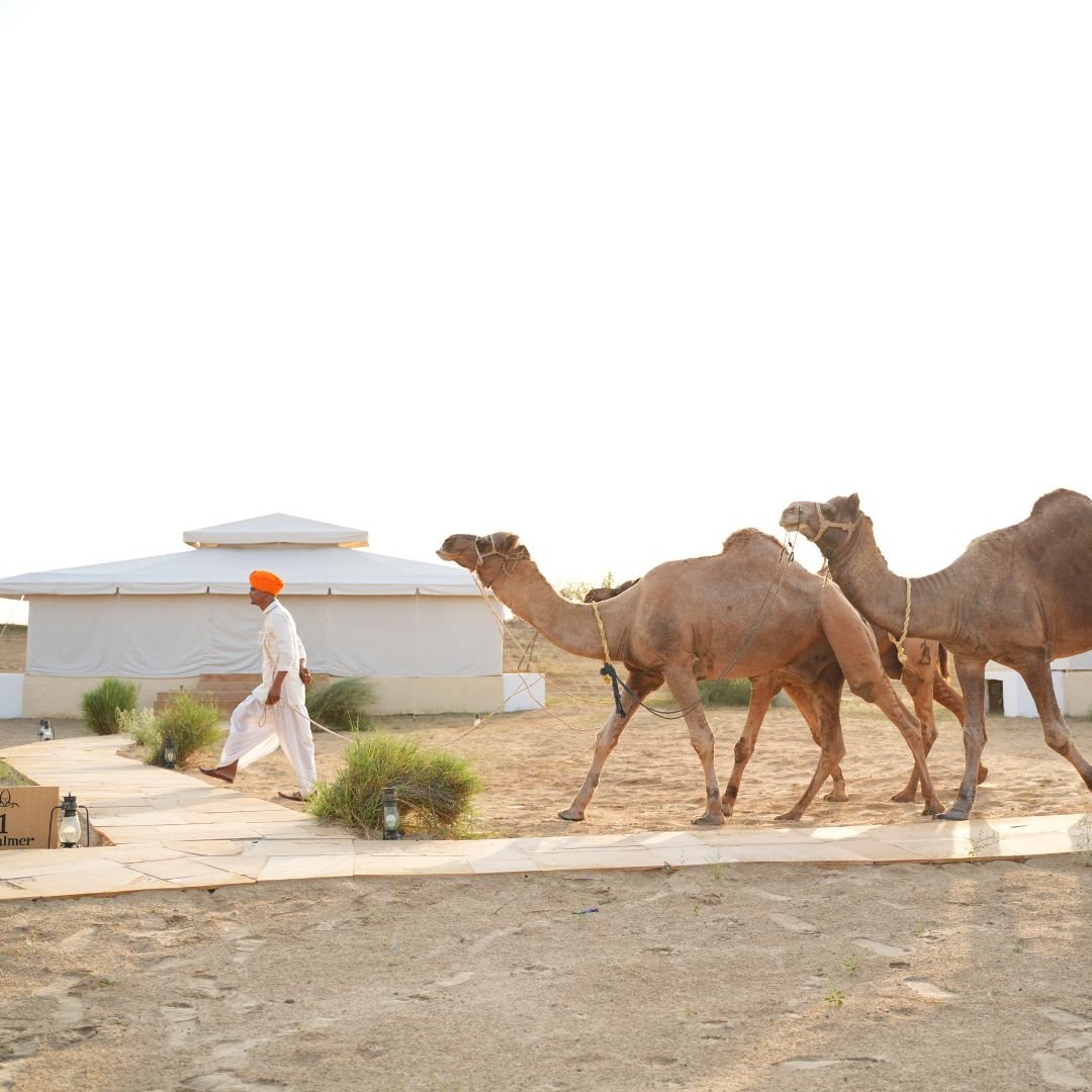 Jaisalmer — Where the Desert Tells a Story
